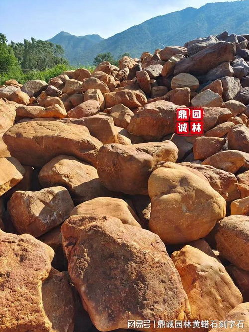 黄蜡石 多面景观艺术的天然瑰宝